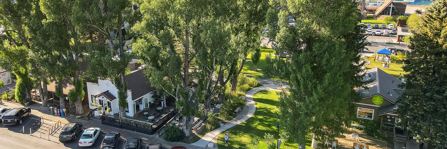 Save The Block, Jackson, Wyoming